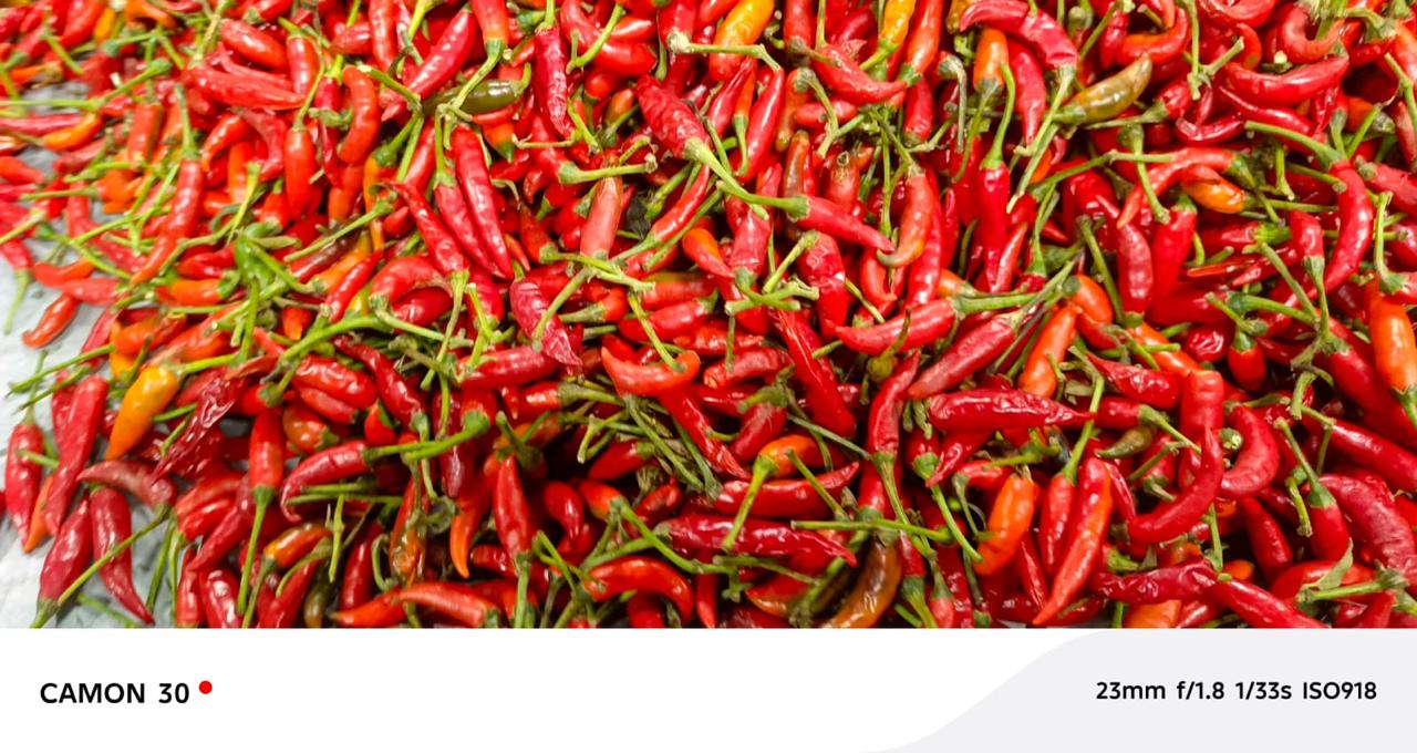 Fresh red chillies